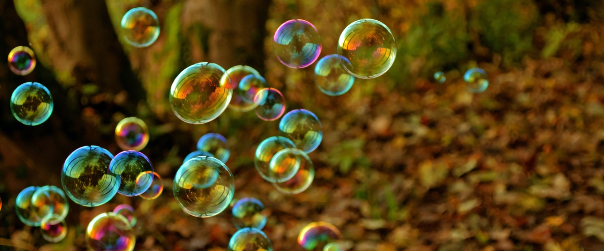 burbujas