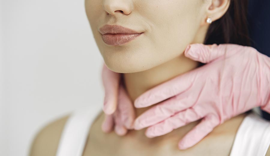 Definición de mandíbula